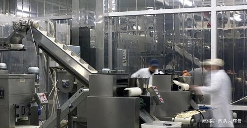 解读功能性食品代工厂打样及大货生产全流程,新品牌方必看攻略