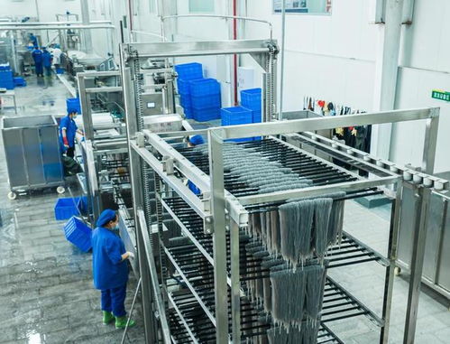 小红薯如何做成大产业 一个武陵山区县构建特色产业链观察