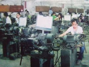 何森华 官方网站