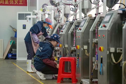 港北区打造高品质宠物饲料，擦亮农业产业品牌